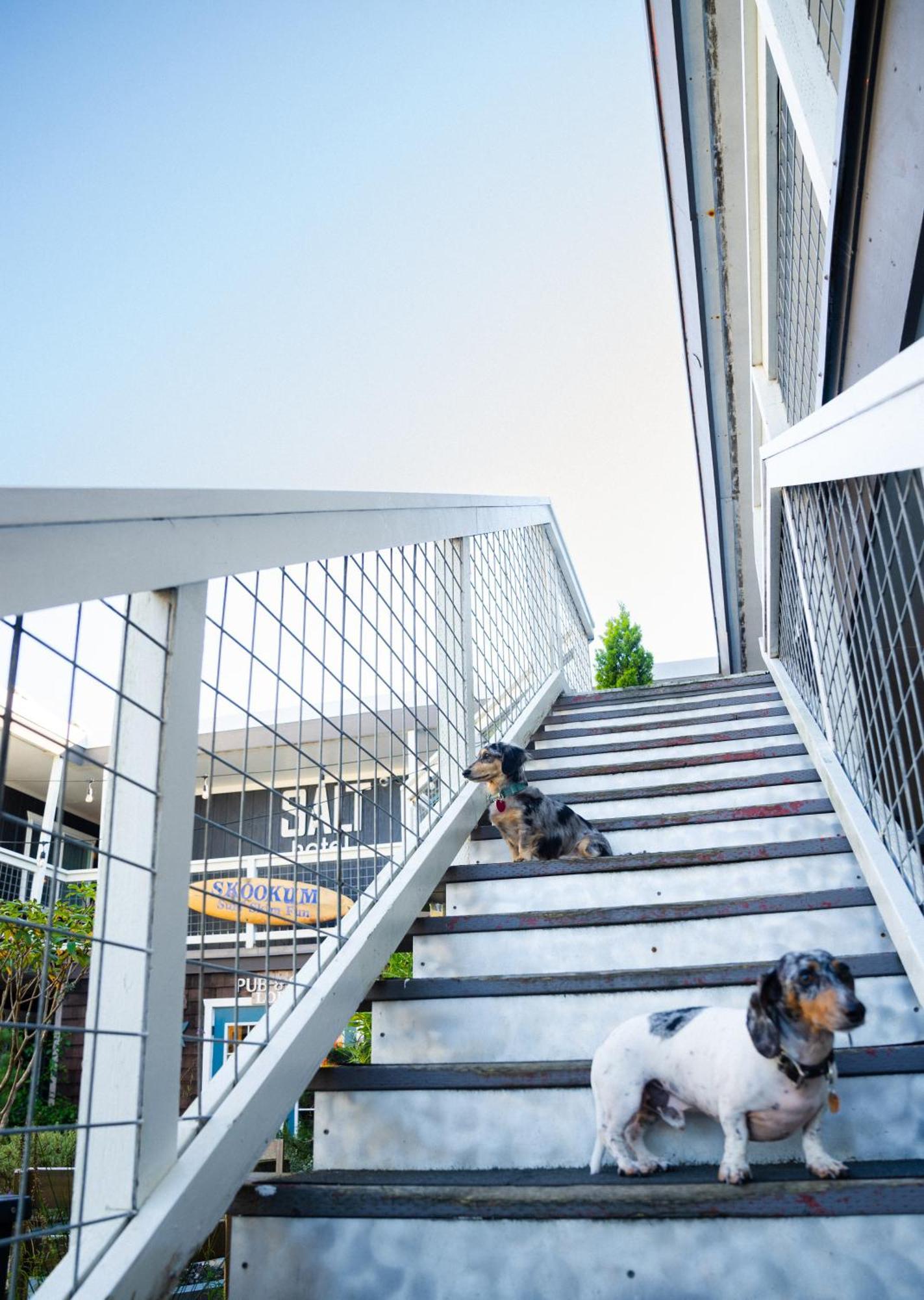 Salt Hotel & Pub Ilwaco Экстерьер фото